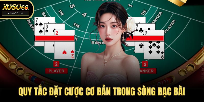 Quy tắc đặt cược cơ bản trong sòng bạc bài