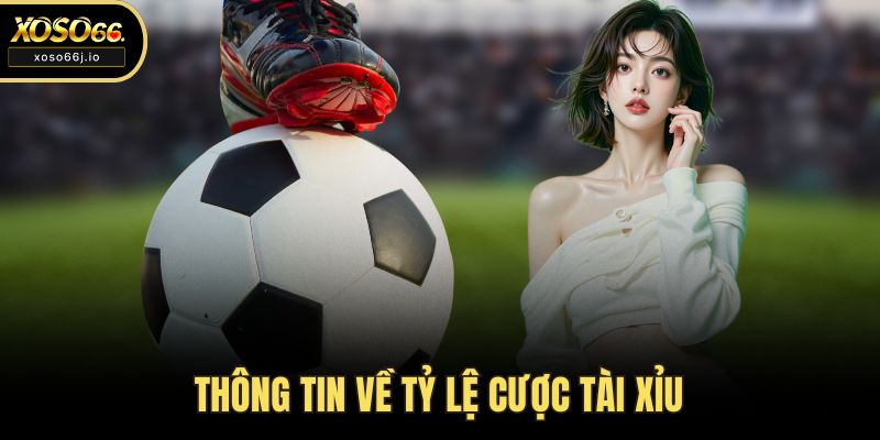 Thông tin về tỷ lệ cược tài xỉu